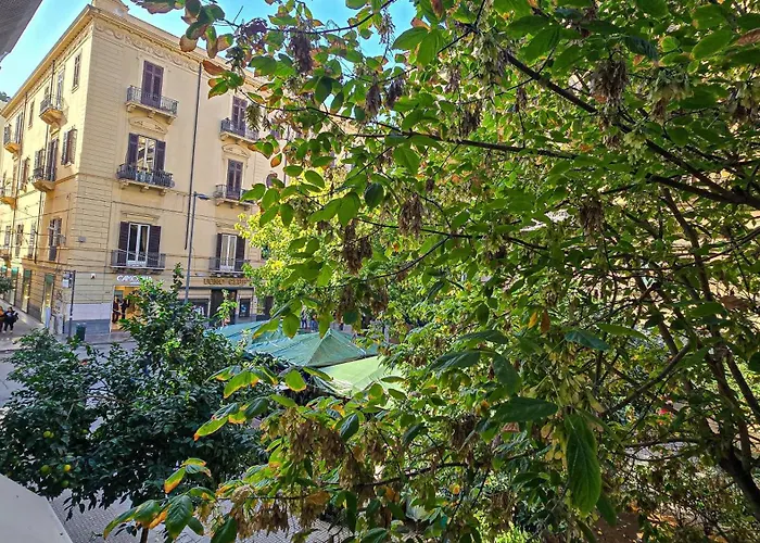 Soldano Luxury
